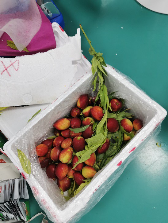 1e325924f8ffaf0a42fb31602a895c5